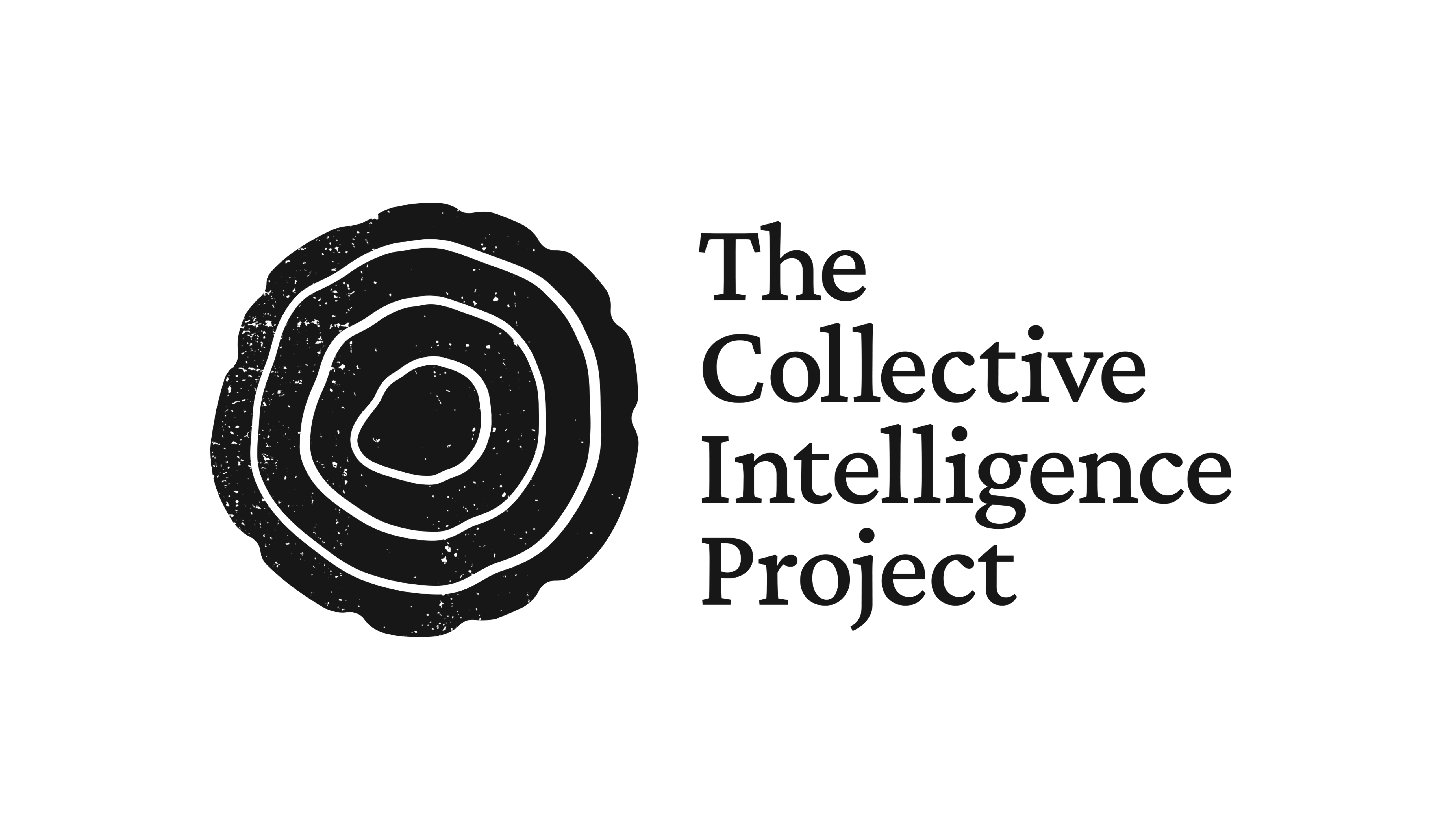 Collective Intelligence Project Logo